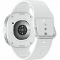 картинка Смарт-часы Samsung Galaxy Watch8 40мм (Серебристые) от Дисконт "Революция цен"