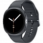 картинка Смарт-часы Samsung Galaxy Watch8 40мм (Графитовые) от Дисконт "Революция цен"